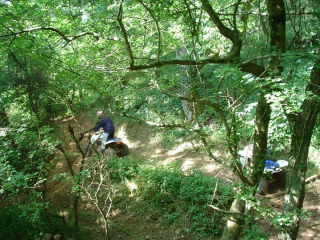  Rodeado de pintorescos bosques 